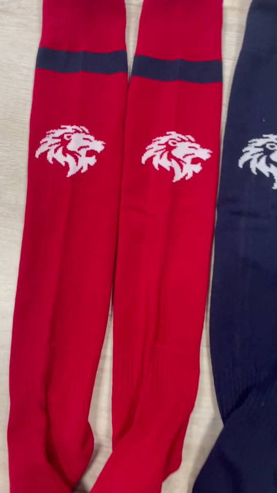 Team socks – socks-001
